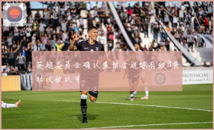 英超委员会确认多尔古进球有效B费助攻被认可