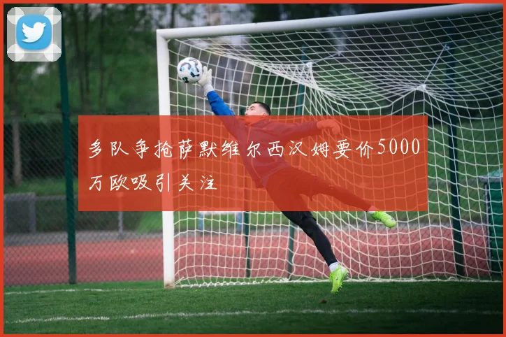 多队争抢萨默维尔西汉姆要价5000万欧吸引关注